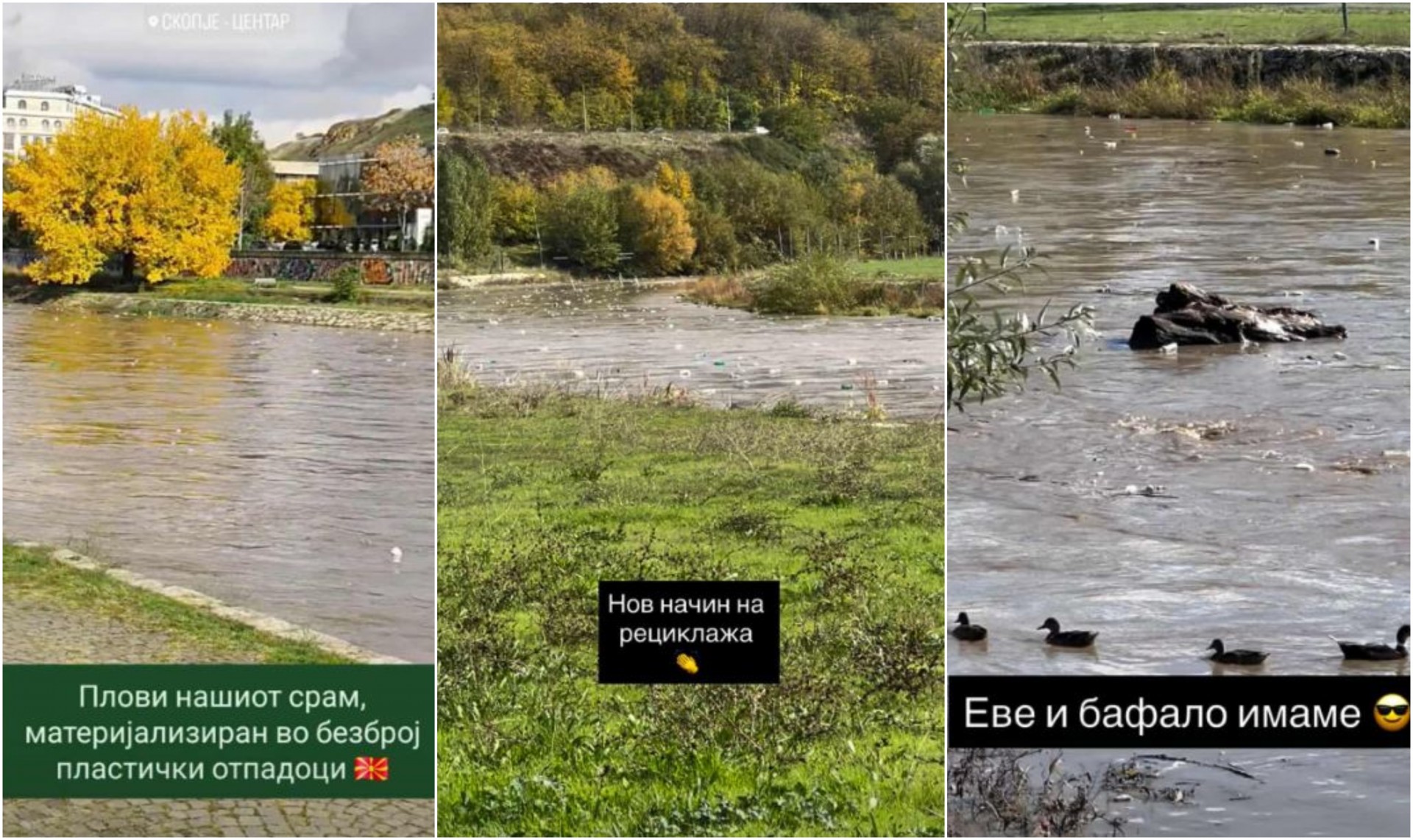 Кога гордоста тоне во ѓубре – што ни кажува Вардар за нас самите? (ВИДЕО)