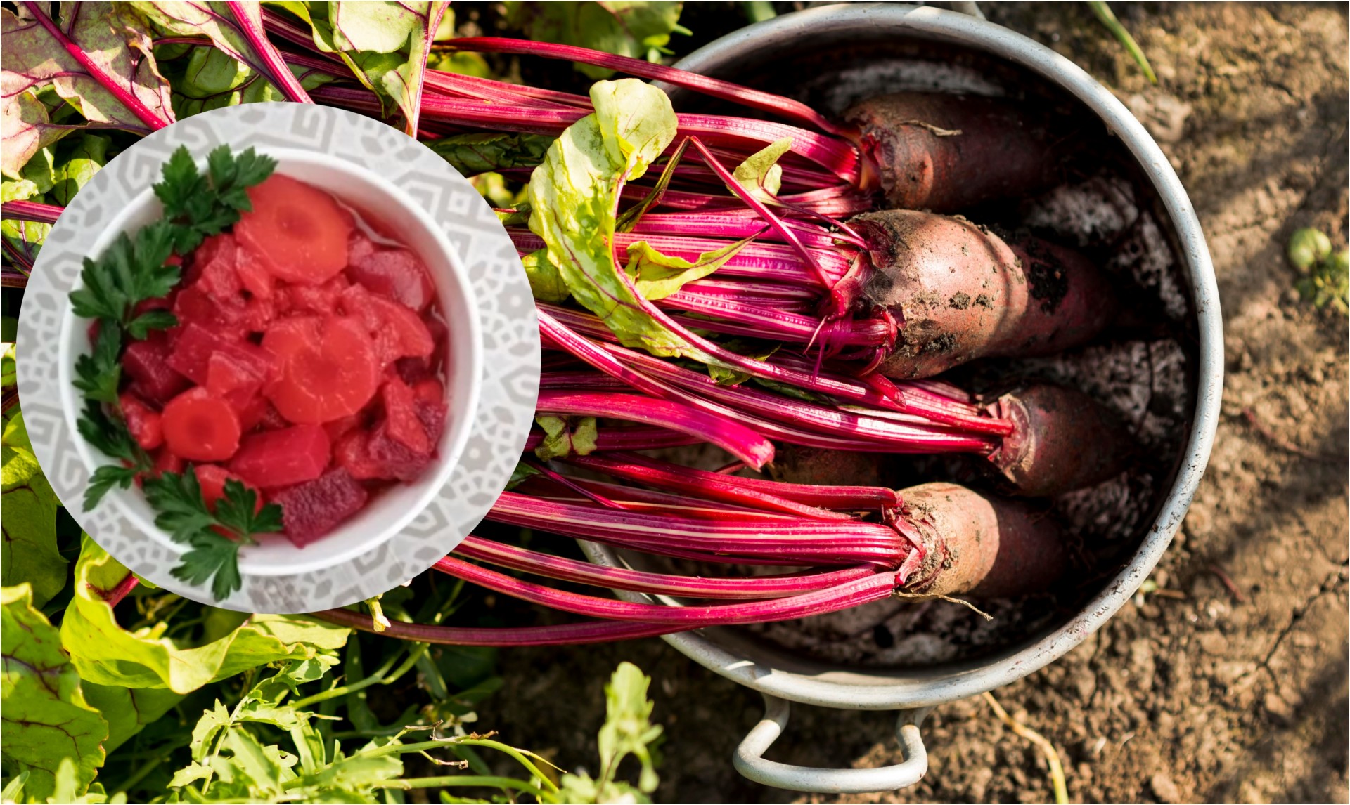 „Здравје во тегла“: Салата со одличен вкус - најдоброто нешто што можете да го направите оваа есен!