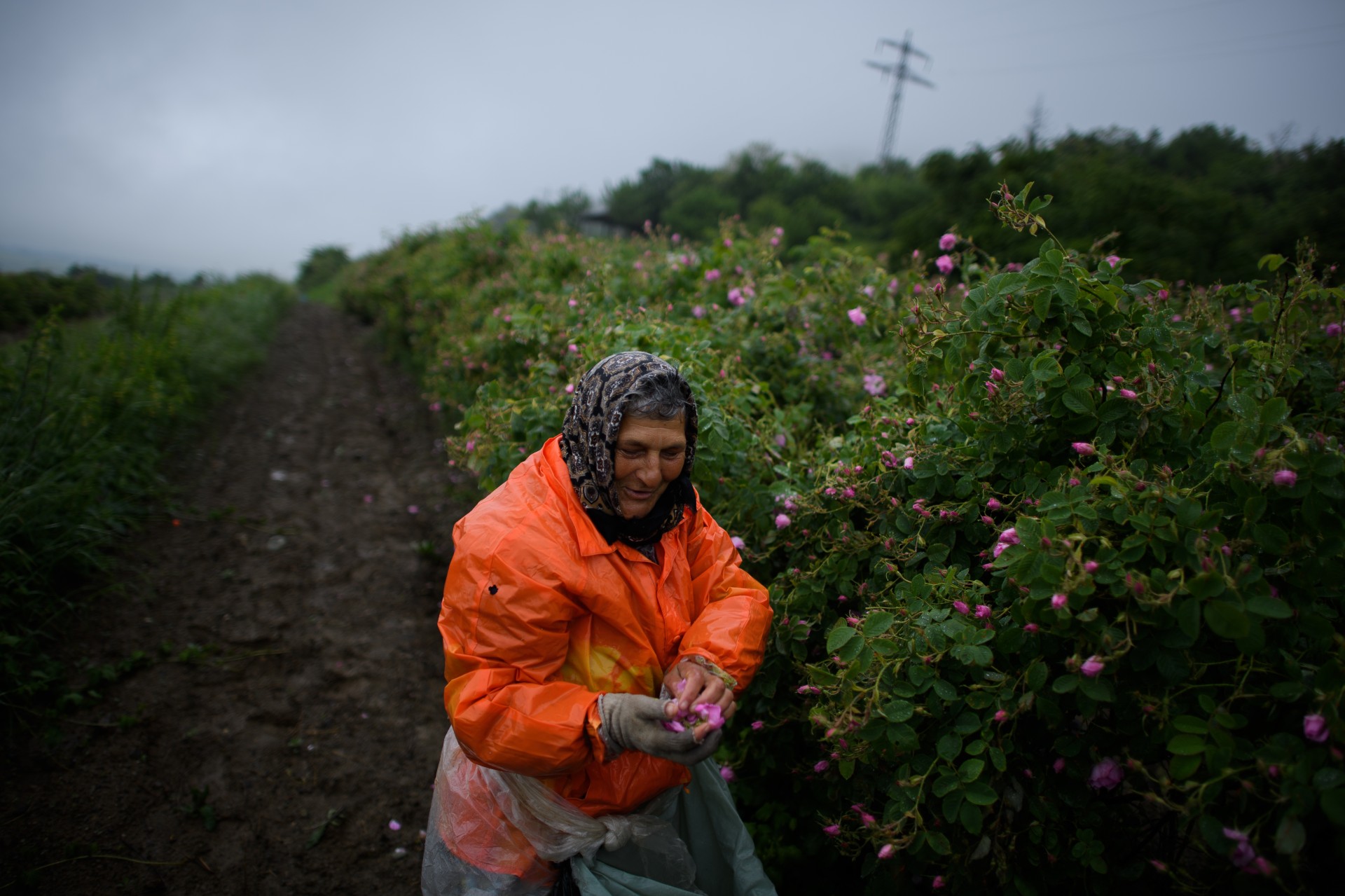 „Ќерка ми може да се омажи за богат и да се спаси, син ми ќе мора да ја преземе одговорноста на семејството“: Розета откри како размислуваат балканските мајки