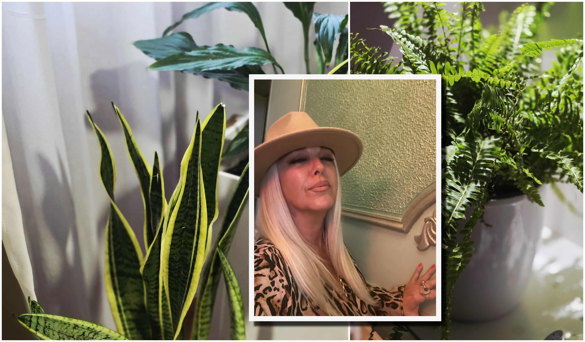 „Кога ќе влезете во еден дом, погледнете ги цвеќињата, тие откриваат дали во семејството владее љубов или токсични односи“: Енерготерапевтка Соња Велјанова со важна порака