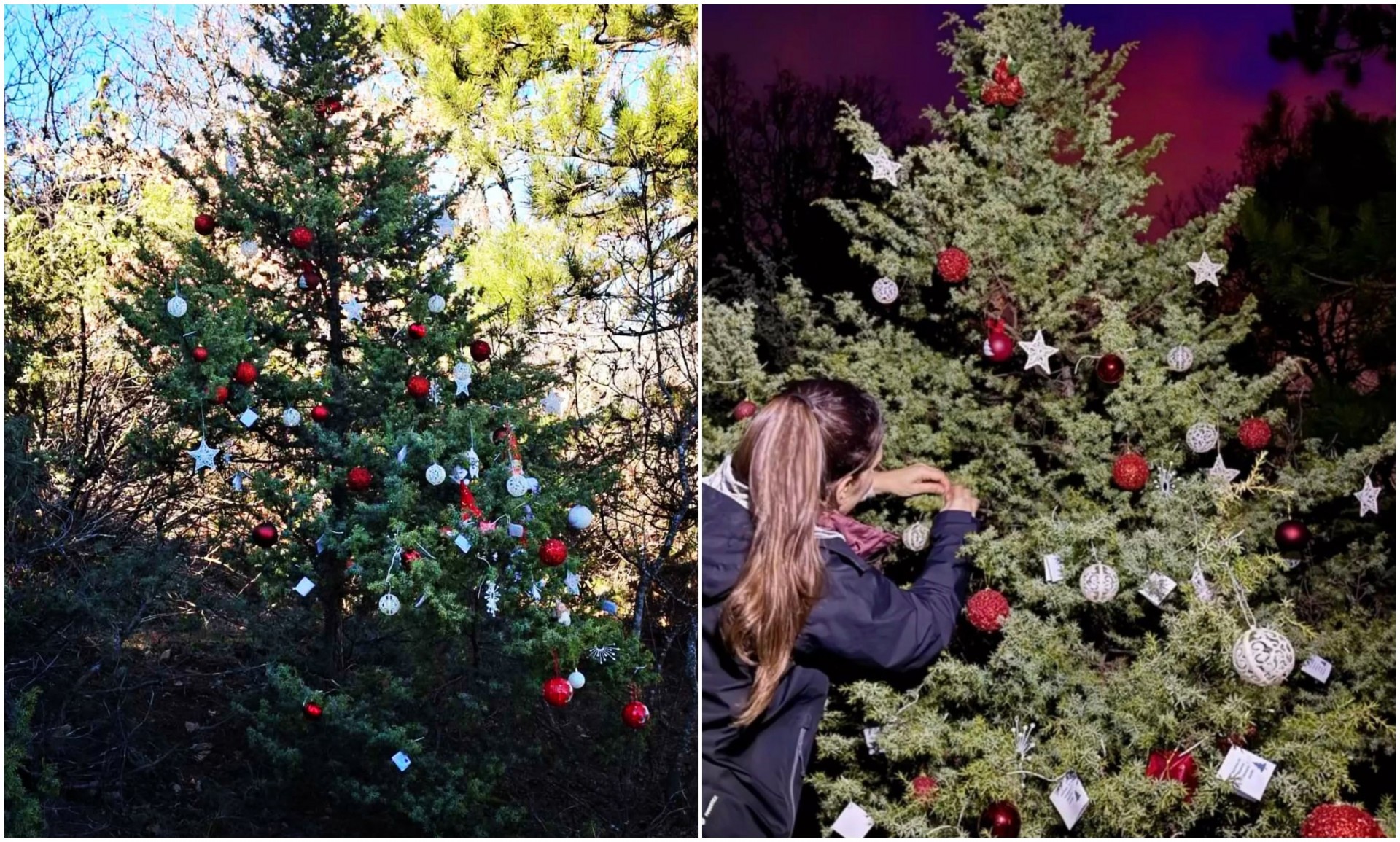 Тивки херои го накитија Водно: Внесоа празнична магија во природата