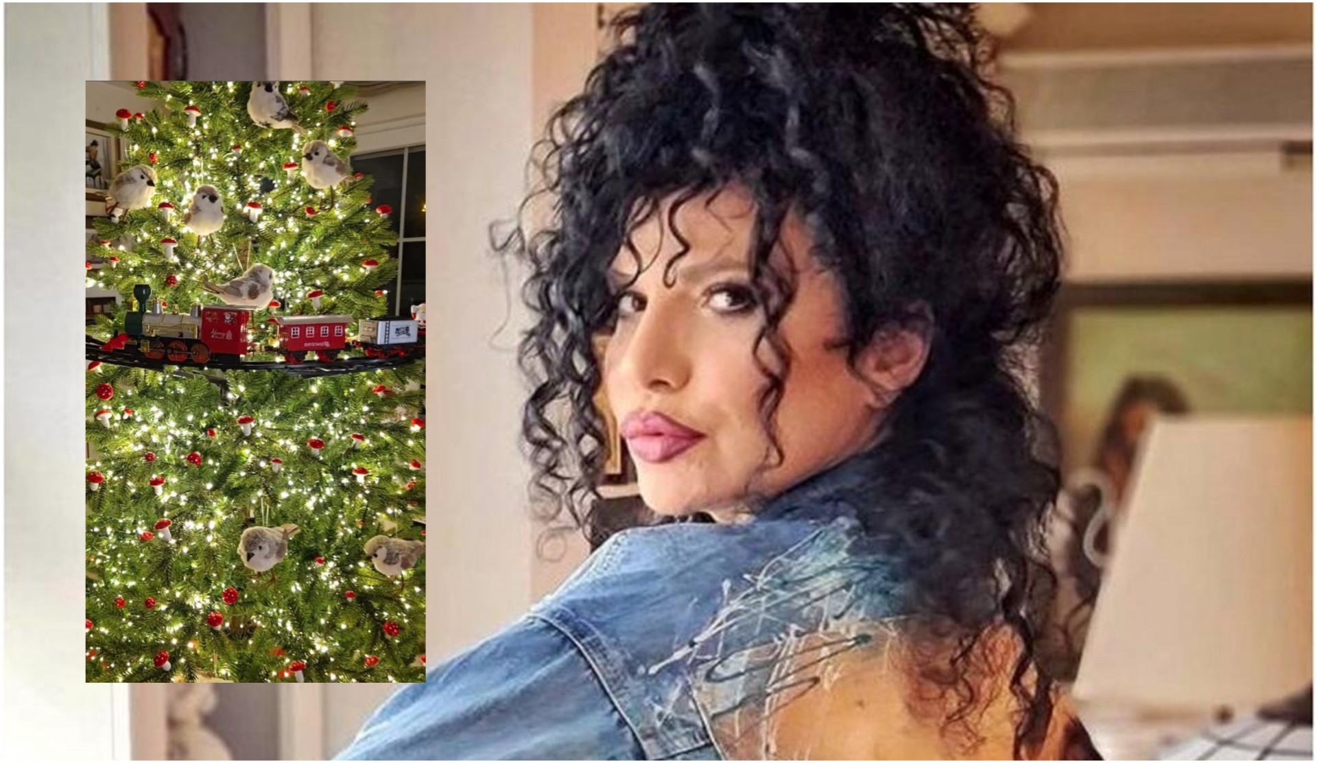 Бајка во живо, магија во секој агол: Ѕирнете како Лидија Вукичевиќ го украси домот со украси од Холандија