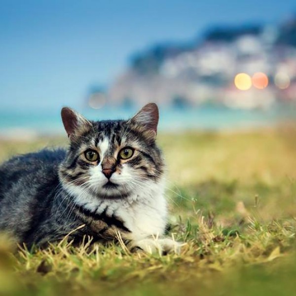 Ана Бунтеска: како секој од нас по две срца да имаше