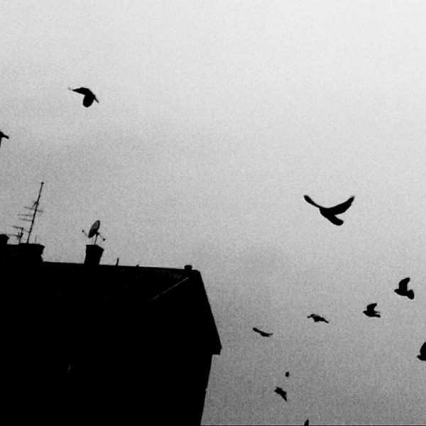 Ана Бунтеска: Мене за тебе ми е жал