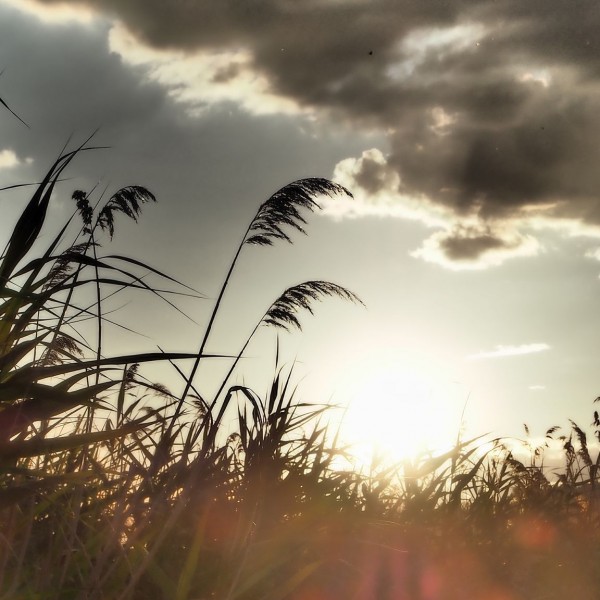 Ана Бунтеска: Денот кога пишано ќе е