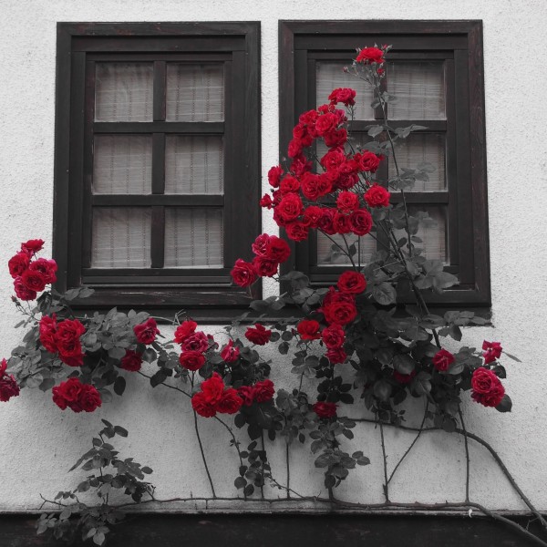 Ана Бунтеска: Си дадовме збор