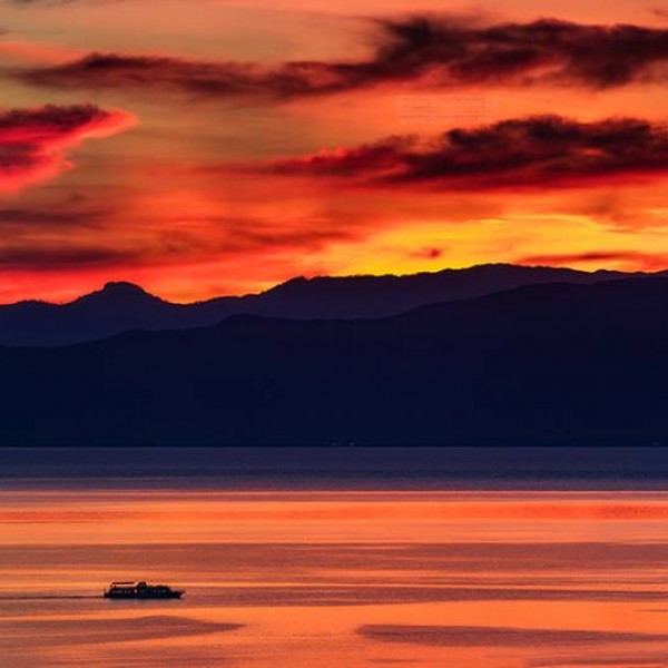 Ана Бунтеска: ме соголуваш во џагор од срцеви баботења