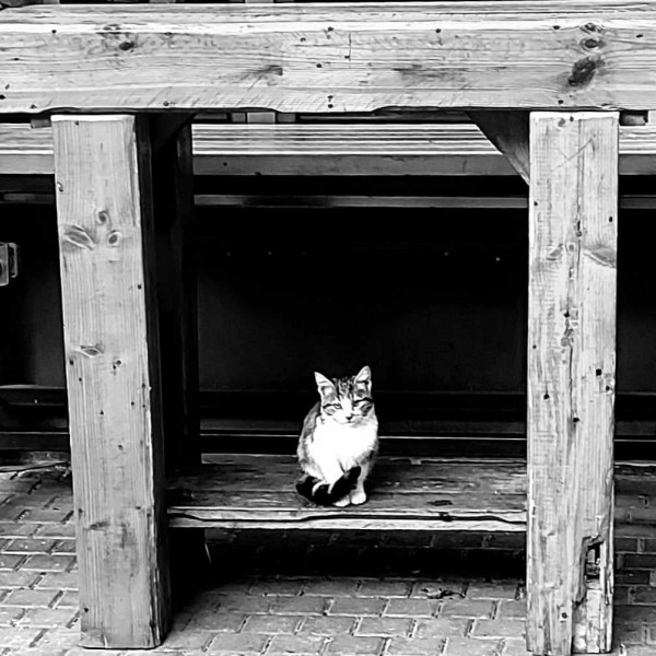 Ана Бунтеска: Има болки