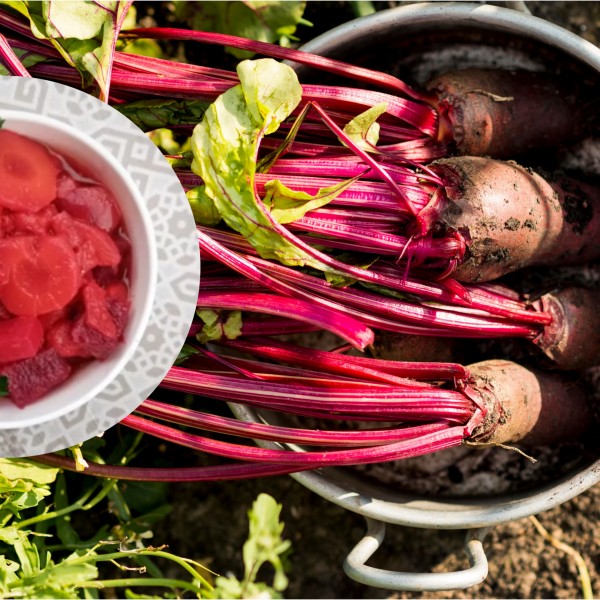 „Здравје во тегла“: Салата со одличен вкус - најдоброто нешто што можете да го направите оваа есен!