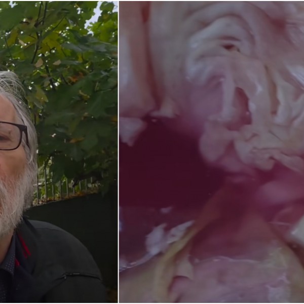 Татко му на Врчак стана доктор расолничар: Вирално видео кое ќе ве забави и подучи на домаќински вештини