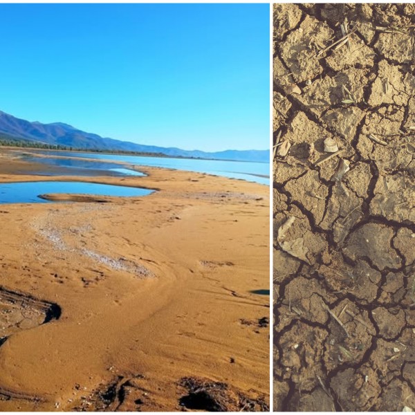 Преспанското езеро исчезнува, најавува еколошка катастрофа: Ќе останеме ли без најзначајното природно богатство?