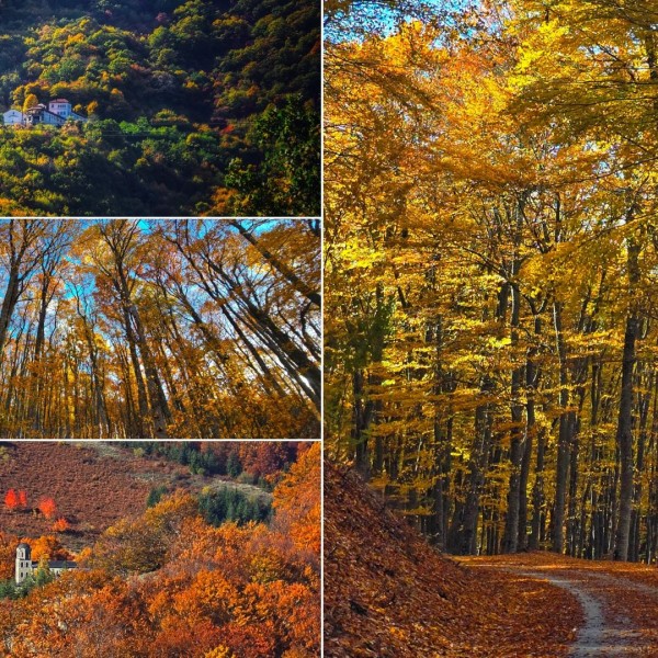 Низ светогледот на Кристина – Совршен кадар за душа