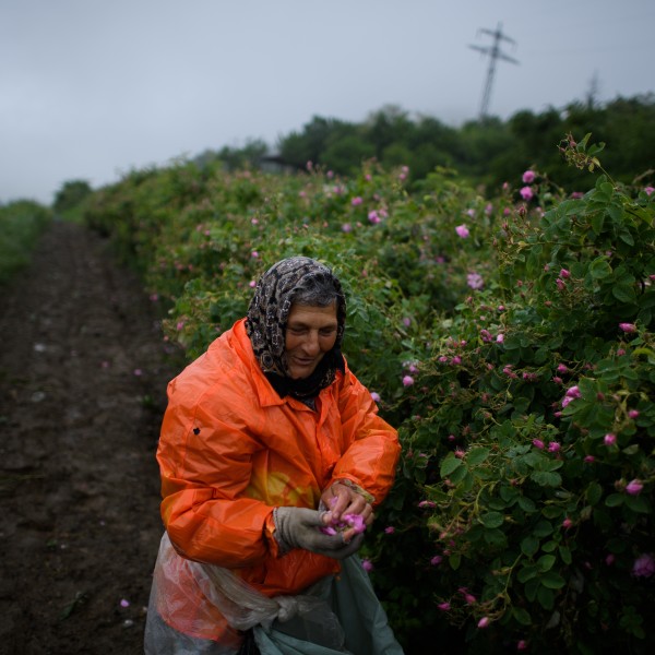 „Ќерка ми може да се омажи за богат и да се спаси, син ми ќе мора да ја преземе одговорноста на семејството“: Розета откри како размислуваат балканските мајки