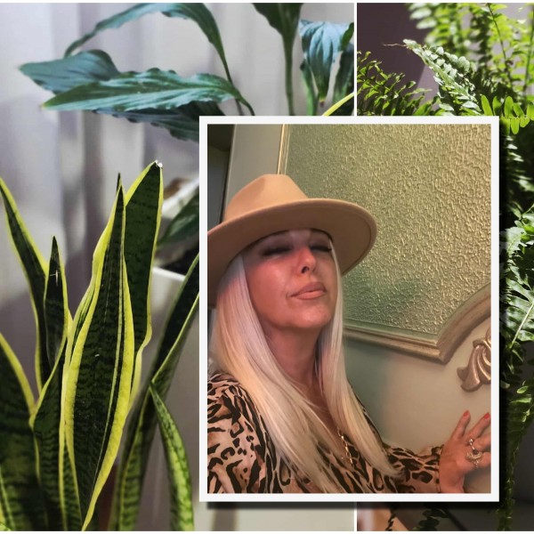 „Кога ќе влезете во еден дом, погледнете ги цвеќињата, тие откриваат дали во семејството владее љубов или токсични односи“: Енерготерапевтка Соња Велјанова со важна порака