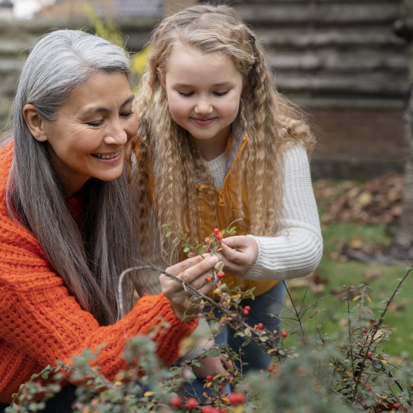 Која баба повеќе ја сакаат децата, од мајчина или од таткова страна? Науката има јасен одговор