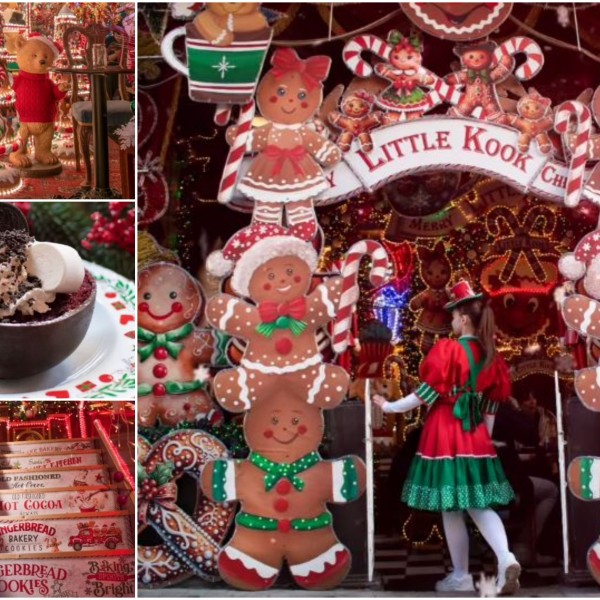 Кафуле со најубавите божиќни украси, ќе ги освои и највозрасните: Ова место е рај за инстаграмџии (ВИДЕО)