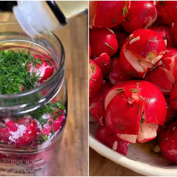 Домашни кисели роткивици во тегла: Лесен и брз рецепт (ВИДЕО)