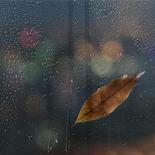 Ана Бунтеска: Диши Ана