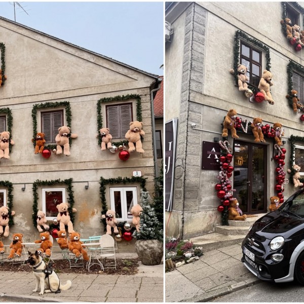 Преку ноќ, куќата со плишани мечиња стана најголема атракција: Божиќната магија пристигна во овој град