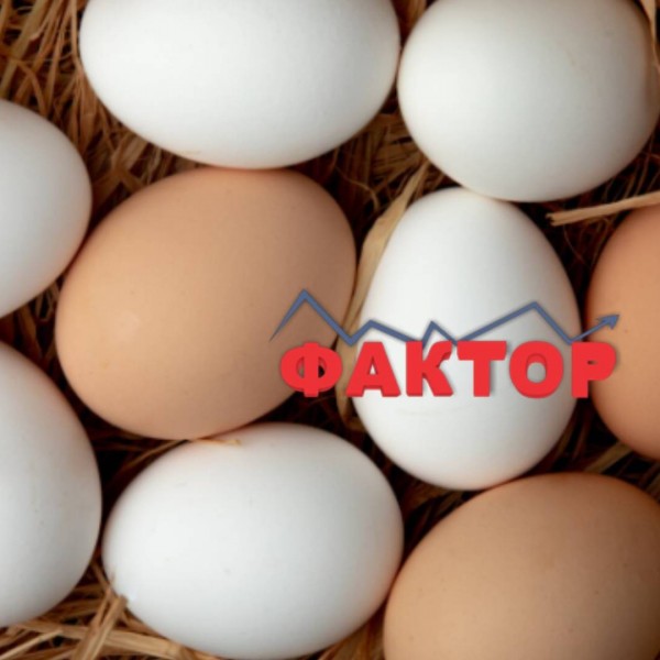 ЈАЈЦАТА ПОСКАПЕА: Колку пари граѓаните максимално би платиле за една табла?