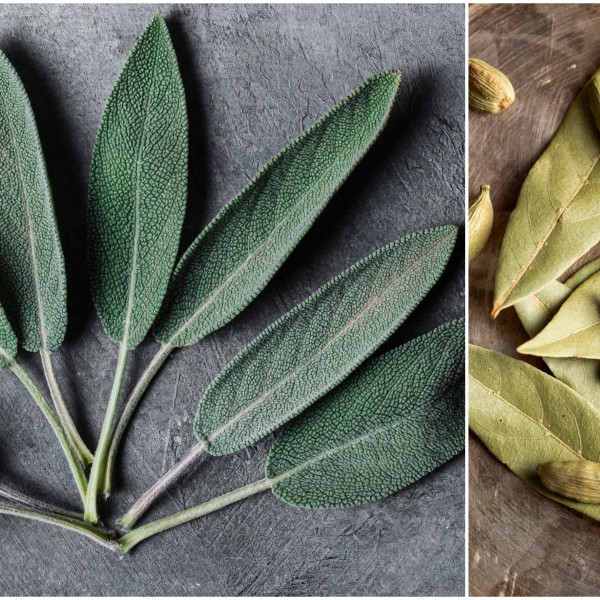 Дознав зошто баба ми секогаш ставала ловоров лист во шише сончогледово масло - сега и јас го правам тоа!