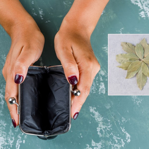 Ставете ловоров лист во вашиот паричник и гледајте како се случува чудо: Се верува дека повеќе нема да мора да се грижите за едно нешто