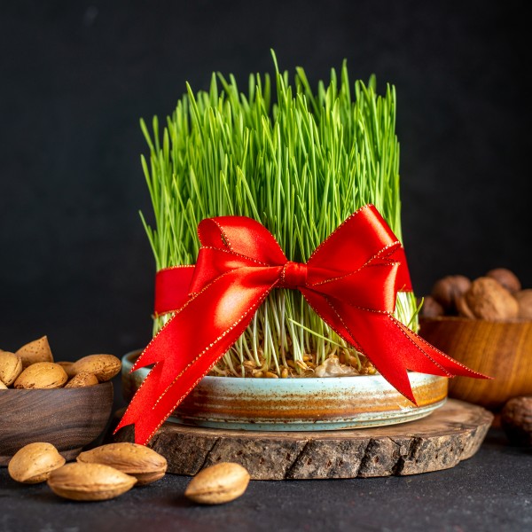 Кога се сее божиќната пченица и зошто е толку важна? Обичај што носи мир, благосостојба и надеж во секој дом