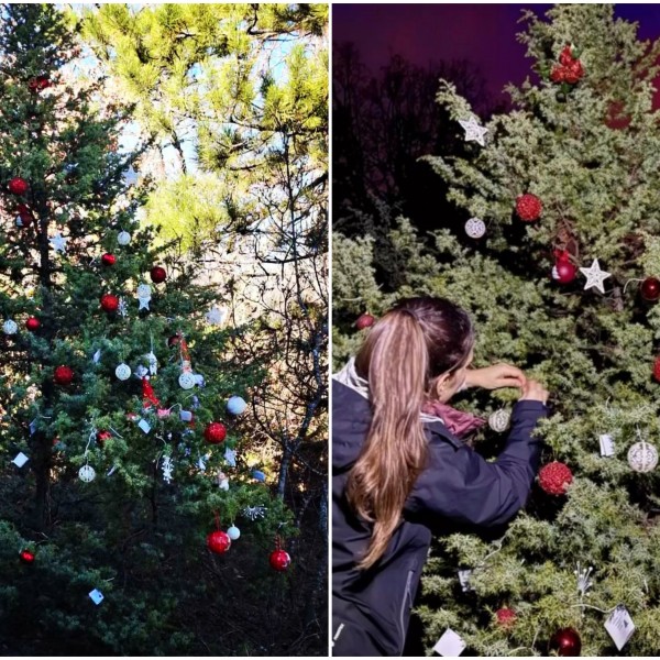 Тивки херои го накитија Водно: Внесоа празнична магија во природата