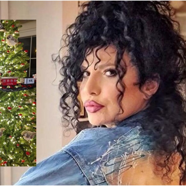 Бајка во живо, магија во секој агол: Ѕирнете како Лидија Вукичевиќ го украси домот со украси од Холандија